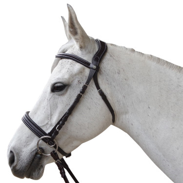 Bridon Canter sin embocadura Evolution Bridon Canter sin embocadura Evolution
