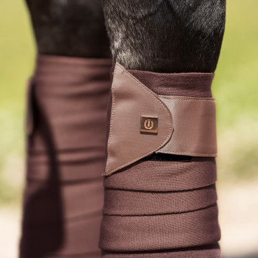 Vendajes encantadores de montar imperiales Castaño Marrón