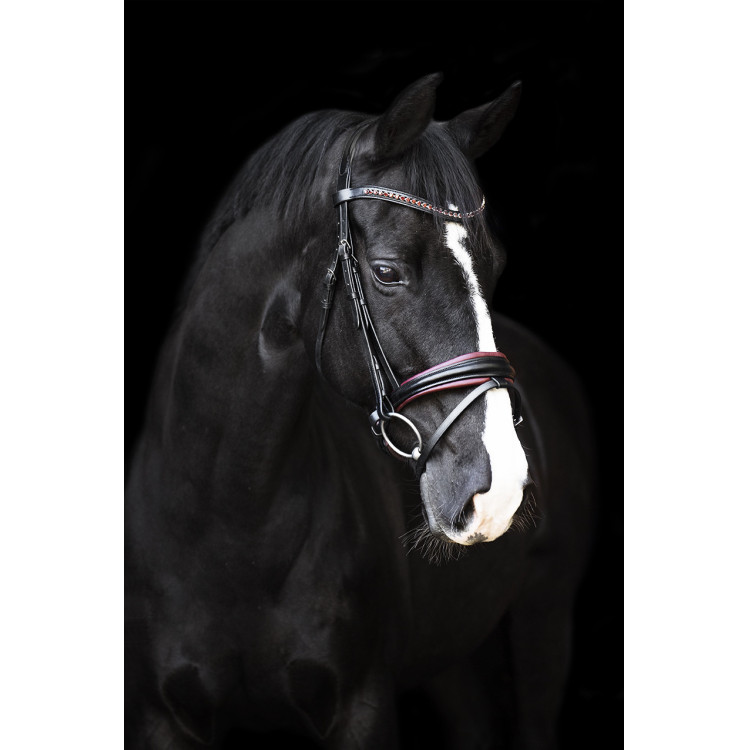 Brida Imperial Riding Fria Brida Imperial Riding Fria