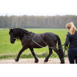 Riendas largas Imperial Riding Free Ride Riendas largas Imperial Riding Free Ride