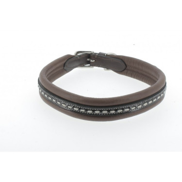 Collar para perro Pénélope Point Sellier Habana modelo antiguo