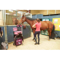 Carrito porta silla modelo grande con caja box pro XL La Gee Granate Burdeos