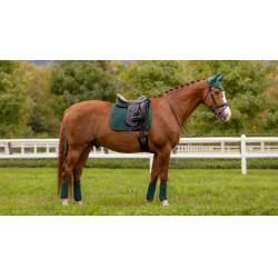 Vendas polo LeMieux Luxury Vendas polo LeMieux Luxury