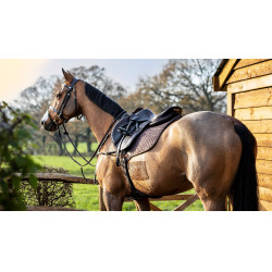 Mantilla LeMieux Prosport close contact square Mantilla LeMieux Prosport close contact square