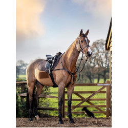 Mantilla LeMieux Prosport close contact square Mantilla LeMieux Prosport close contact square