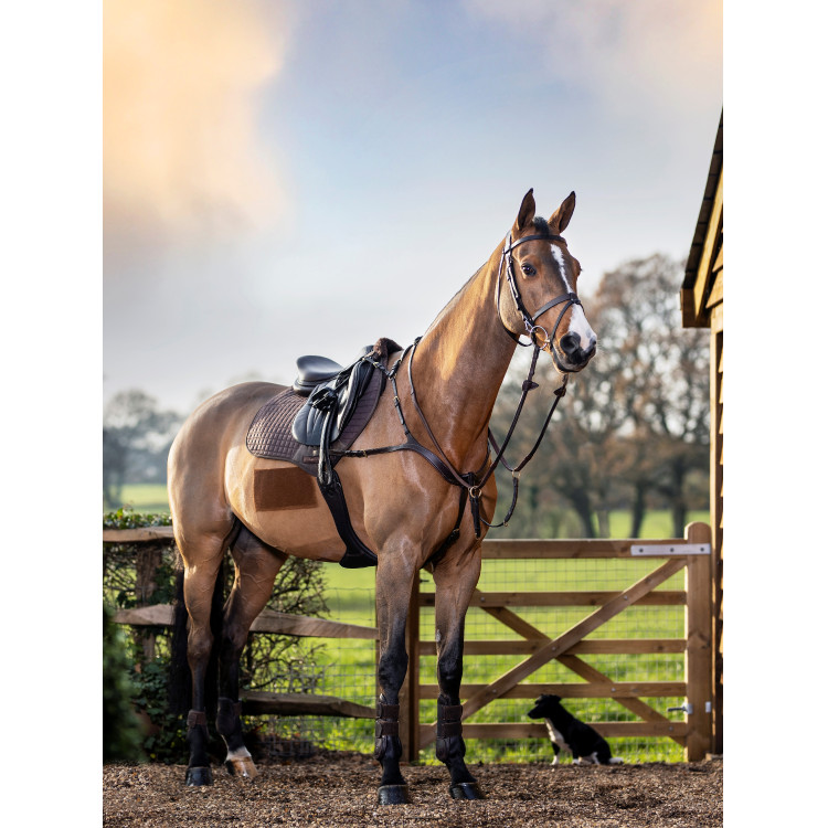 Mantilla LeMieux Prosport close contact square Mantilla LeMieux Prosport close contact square