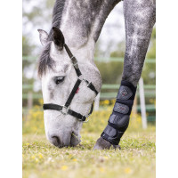 Cabezada Break Away LeMieux