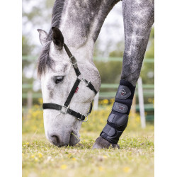 Cabezada Break Away LeMieux Cabezada Break Away LeMieux