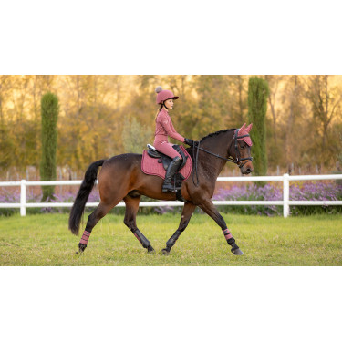 Protectores LeMieux Grafter Protectores LeMieux Grafter