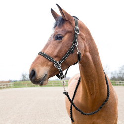 Cabezada y ramal Cooper Horze Supreme Cabezada y ramal Cooper Horze Supreme