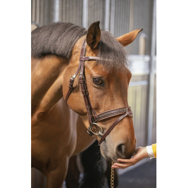 Brida Pénélope Harmonie Havana Marrón