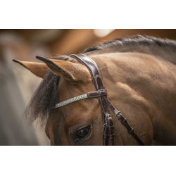 Brida Pénélope Harmonie Havana Marrón