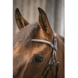 Brida Pénélope Harmonie Havana Marrón