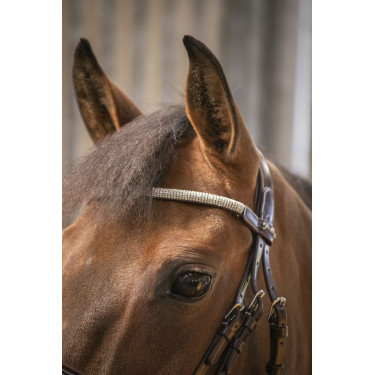 Brida Pénélope Harmonie Havana Marrón