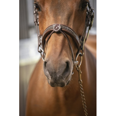 Brida Pénélope Harmonie Havana Marrón