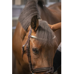 Brida Pénélope Harmonie Havana Marrón