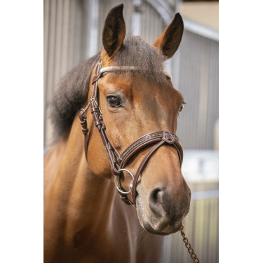 Brida Pénélope Harmonie Havana Marrón