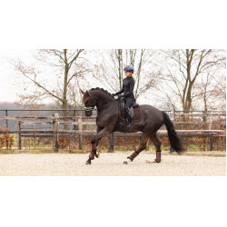 Alfombra LeMieux Crystal Suede Dressage Castaño Marrón