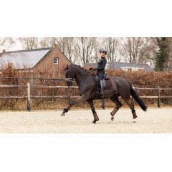 Alfombra LeMieux Crystal Suede Dressage Castaño Marrón