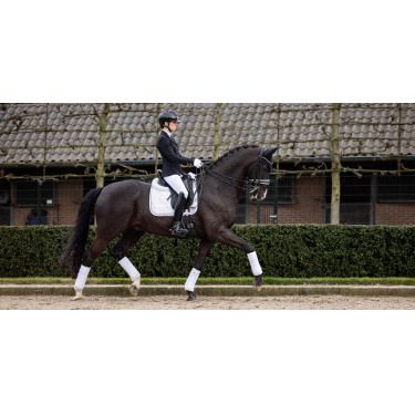 Alfombra LeMieux Crystal Suede Dressage Alfombra LeMieux Crystal Suede Dressage