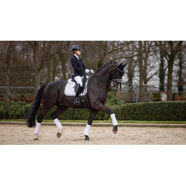 Alfombra LeMieux Crystal Suede Dressage Alfombra LeMieux Crystal Suede Dressage