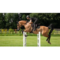 Alfombra LeMieux Puissance Ante Close Contact Cuadrada Castaño Marrón