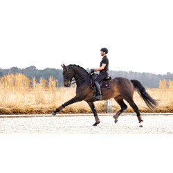 Alfombra LeMieux Potencia Gamuza Cuadrado de Doma Castaño Marrón