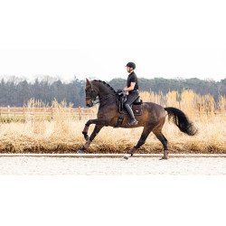 Alfombra LeMieux Potencia Gamuza Cuadrado de Doma Castaño Marrón