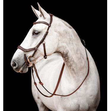 Bridon Horseware Micklem 2 Competición Rambo