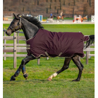 Cobertura Horseware Amigo Hero Ripstop Lite 0g Higo Violeta Cobertura Horseware Amigo Hero Ripstop Lite 0g Higo Violeta