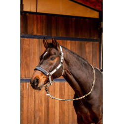 Cabezada Wicklow Horze Cabezada Wicklow Horze