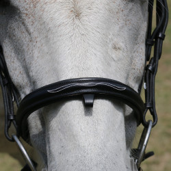 Brida con puente Raphaël T de T Negro