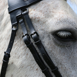 Brida con puente Raphaël T de T Negro