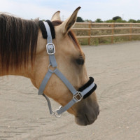 Cabezada de borrego T de T sintética Beige / natural