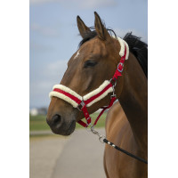 Cabezada de cuadra EQUITHÈME Nylon Mouton Rojo / blanco