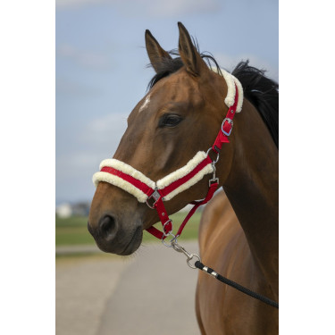 Cabezada de cuadra EQUITHÈME Nylon Mouton Cabezada de cuadra EQUITHÈME Nylon Mouton