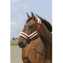 Cabezada de cuadra EQUITHÈME Nylon Mouton Cabezada de cuadra EQUITHÈME Nylon Mouton