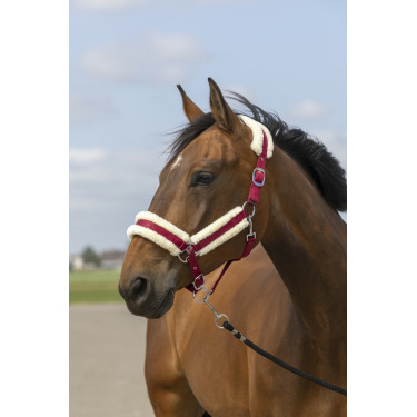 Cabezada de cuadra EQUITHÈME Nylon Mouton Cabezada de cuadra EQUITHÈME Nylon Mouton