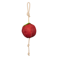 Juguete para caballos LeMieux Manzana