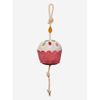 Juguete para caballos LeMieux Manzana