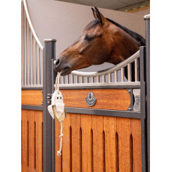 Juguete para caballos LeMieux Banana Amarillo