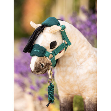 Mini Pony LeMieux Dream Mini Pony LeMieux Dream
