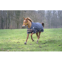 Manta Equi-Theme Tyrex 1200 D / Transparente Manta Equi-Theme Tyrex 1200 D / Transparente