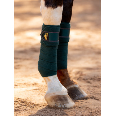 Vendas de polo Loire LeMieux Verde abeto Vendas de polo Loire LeMieux Verde abeto