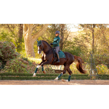 Vendas de polo Loire LeMieux Verde abeto Vendas de polo Loire LeMieux Verde abeto