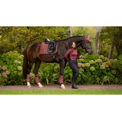 Vendas de polo Loire LeMieux Orquídea rosa Vendas de polo Loire LeMieux Orquídea rosa