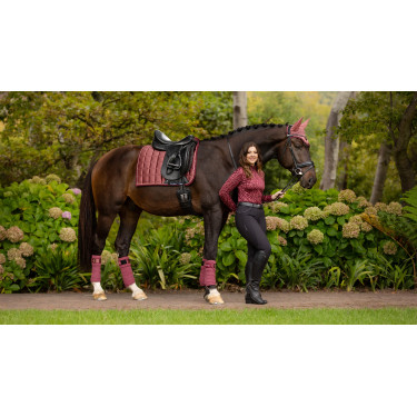 Vendas de polo Loire LeMieux Orquídea rosa Vendas de polo Loire LeMieux Orquídea rosa