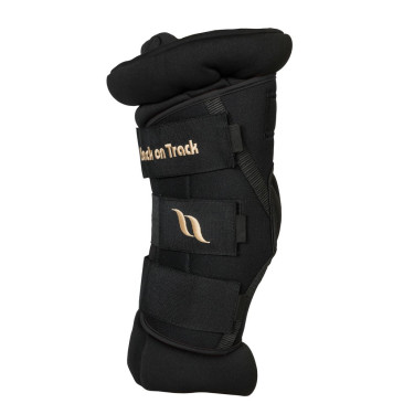 Protector de lomo Back on Track® Royal Deluxe Protector de lomo Back on Track® Royal Deluxe