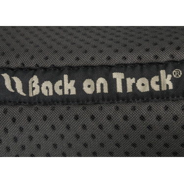 Amortiguador Back on Track® Aurora Amortiguador Back on Track® Aurora