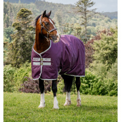 Manta Horseware Amigo Hero Ripstop 200g